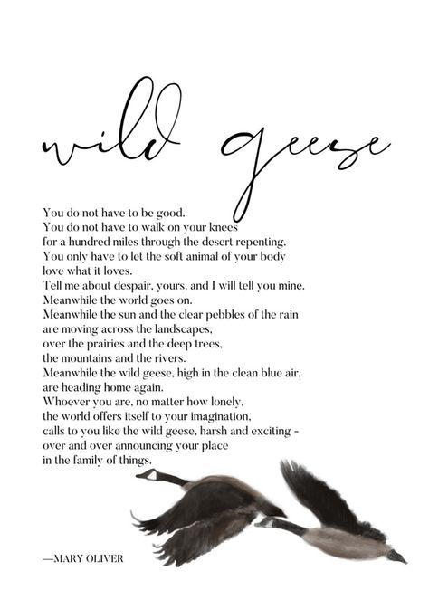 wild geese mary oliver meaning - Google Search Wild Geese Tattoo, Mary Oliver Tattoo, Wild Geese Poem, Geese Tattoo, Oliver Tattoo, Wild Geese Mary Oliver, Goose Tattoo, Mary Oliver Quotes, Wild Geese