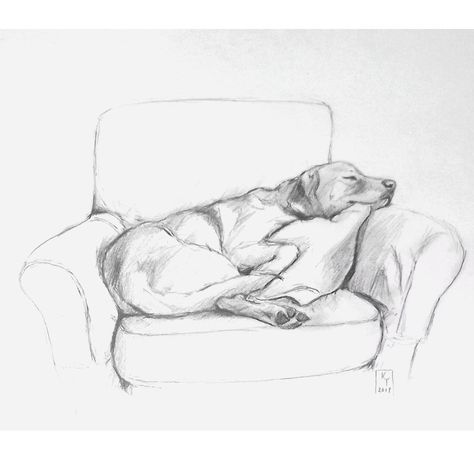 Black Lab Drawing Pencil, Dog Sketch Labrador, Lab Drawing Easy, Labrador Drawing Simple, Dog Drawing Labrador, Happy Dog Drawing, Labrador Sketch, Drawing Ideas Dog, Pencil Sketching Ideas