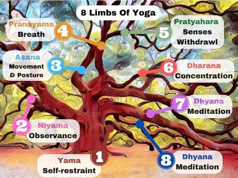 Yoga Class Themes, Yoga Class Plan, Limbs Of Yoga, Eight Limbs Of Yoga, Yamas And Niyamas, 8 Limbs Of Yoga, Yoga Lesson Plans, The 7 Chakras, Yoga Sutras