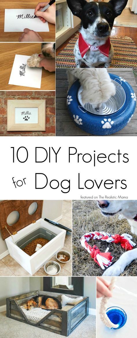 10 DIY Projects for Dog Lovers - Lou Dog, Popcorn Tin, Dogs Diy Projects, Diy Dog Food, Best Diy Projects, Dog Food Container, Desk Diy, Dog Projects, Interactive Dog Toys