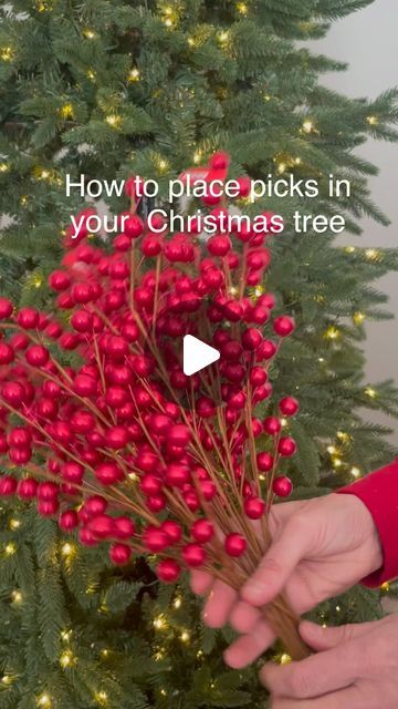 Keri Collins & Suzanne Higgins on Instagram: "Answering another one of the questions you all ask…how can I get picks to look good in my tree? It really is very simple, it’s all about placement and direction. It’s important to scatter them through the tree and place them on the branches in a downward direction. We love to use a lot of different picks when we decorate our trees but for the purpose of this demonstration we just used one type. Hope this helps 🎄❤️. . . . . . . . . . .#christmasinjuly #christmastreegoals #holidayinspo #christmasinspo #christmastips #ohchristmastree #diychristmas #christmastreedesigner  #diyholiday #diydecor #ksforeverdesigns" Diy Tree Branch Decor Christmas, Sprays On Christmas Tree, Xmas Tree Branches Ideas, Christmas Tree Picks And Sprays Decor, How To Professionally Decorate A Christmas Tree, Red Themed Christmas Tree Ideas, Christmas Tree Beads Ideas, Red And Buffalo Plaid Christmas Tree, How To Add Picks To A Christmas Tree