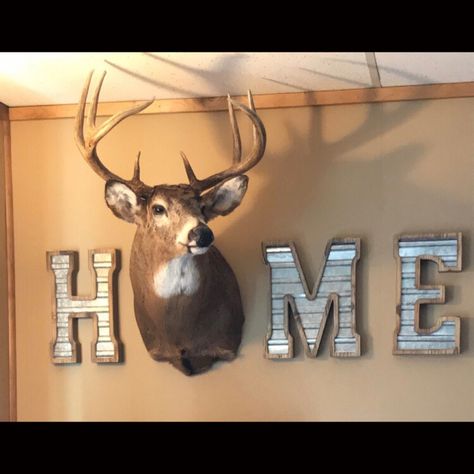 I love this! #homedecor #deer Deer Hunting Decor, Deer Head Decor, Deer Antler Decor, Steampunk Furniture, Dream Country, Antler Crafts, Deer Mounts, Country Ideas, Hunting Room