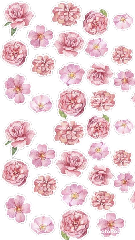 Pink Aesthetic Stickers Printable, Pink Journal Stickers, Pink Stickers Aesthetic Printable, Pink Scrapbook, Pink Stickers, Album Cover Wallpaper Collage, Coloring Journal, Skin Color Palette, Light Pink Flowers