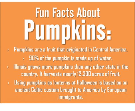 26 Halloween Facts Halloween Fun Facts, Pumpkin Facts, Facts About Halloween, Fall Coloring Sheets, Fall Festival Games, Swap Shop, Festival Games, Night Shadow, Teacher Activities