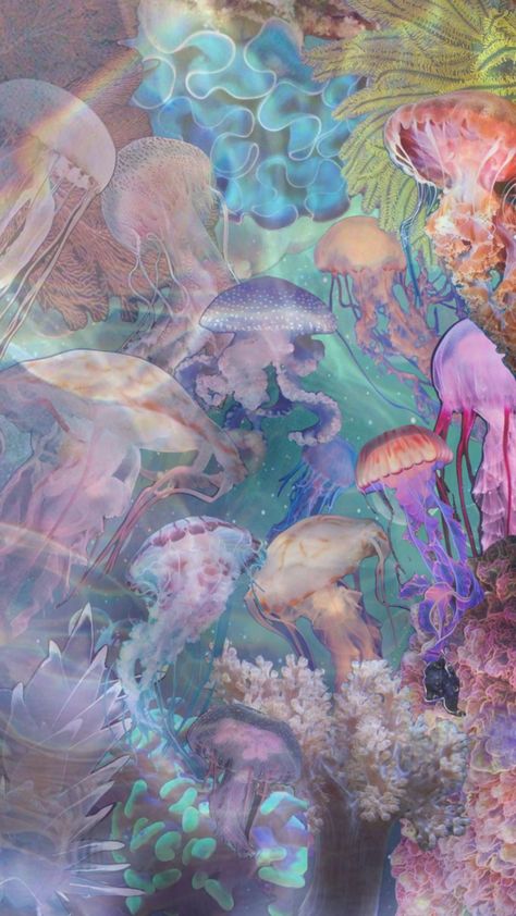 jellyfish Jellyfish Wallpaper, Marine Life, Jellyfish, Sea Creatures, Abstract Painting, Wallpapers