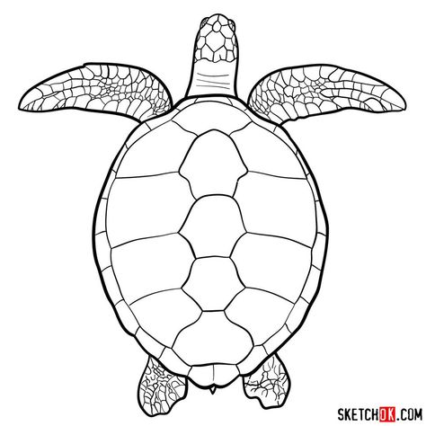 How to draw a Sea Turtle (view from the top) Easy Turtle Drawing, Draw A Sea Turtle, Turtle Outline, Turtle Sketch, Tortoise Drawing, Sea Turtle Drawing, Turtle Top, Swimming Sea, Turtle Drawing