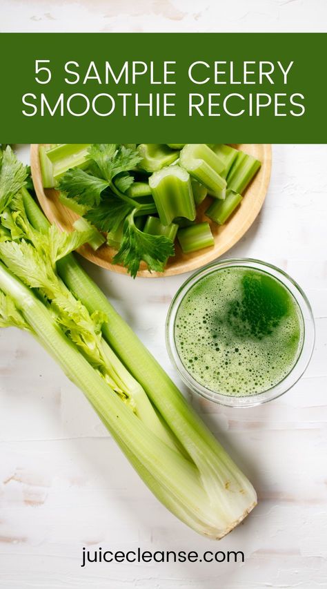 best celery smoothie recipes | Why are celery smoothies good for you | Is a celery smoothie as good as juice | Are celery leaves good in smoothies | Green Detox Smoothie Recipe Celery Smoothie Recipes, Celery Smoothie, Celery Leaves, Smoothies Green, Smoothie Benefits, Celery Recipes, Healthy Nutrition Plan, Best Green Smoothie, Green Detox Smoothie