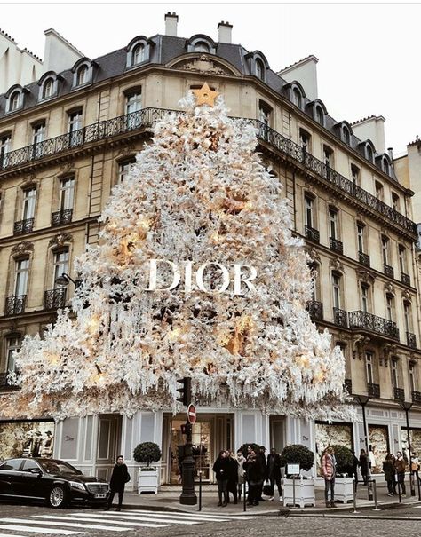 Dior Christmas tree 2018/2019. Paris boutique French Gifts, Simple Interior Design, Boujee Aesthetic, New York City Travel, Tapeta Pro Iphone, Images Esthétiques, Christmas Mood, Christmas Aesthetic, Luxury Store