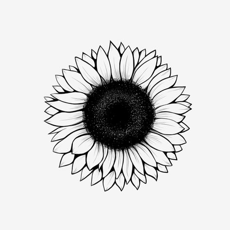 sunflower,sun,flower,nature,tree,yellow flower,sunshine,lineart,outline,drawing,handdraw,black and white,flower drawing Sun Flowers Drawing, Black And White Flower Drawing, Sunflower Outline, Drawing Icons, Flower Png Transparent, Flower Black And White, Ftd Flowers, Sunflower Illustration, Sun Drawing