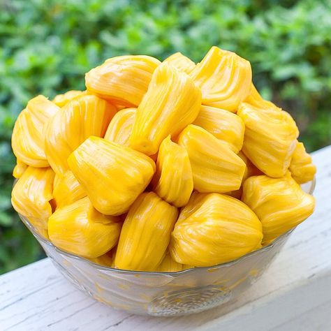 Preparing a jackfruit from scratch can be a difficult experience, but practice makes perfect. The sweet fruit is definitely worth the effort. Jackfruit Tree, Pizza Fruit, Jackfruit Recipes, Fruit Love, Fruits Photos, Fruit Picture, Yellow Fruit, Fruit Wallpaper, Fruit Photography