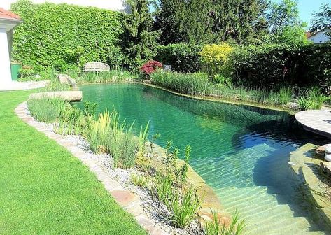 Swimming Pool Pond, Natural Swimming Ponds, Swimming Pond, Natural Pond, Natural Swimming Pools, Piscina Natural, Balcony Plants, Natural Swimming Pool, Pond Design