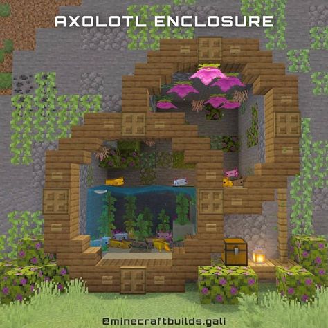 Minecraft Builds & Modeling on Instagram: “Axolotl enclosure Credit by: @minecraftbuilds.gali gali - Comment what you think 💬 - Like & share with your friends 👫👬   Follow:…” Minecraft World Layout Ideas, Minecraft Watermelon Build, Cute Minecraft Animal Pen Ideas, Minecraft One Block Ideas, Bat Enclosure Minecraft, Flower Shops Minecraft, Lava Pool Minecraft, Cute Minecraft Pond Ideas, Potion Room Minecraft Design