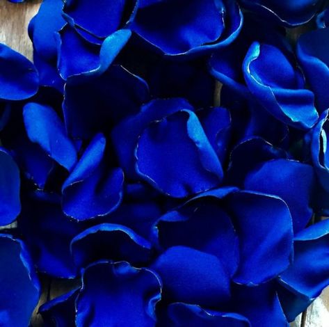 Princesa Clash Royale, Royal Blue Wallpaper, Kim Walker, Blue Roses Wallpaper, Flower Girl Petals, Photo Bleu, Blue Aesthetic Dark, Wedding Petals, Table Confetti