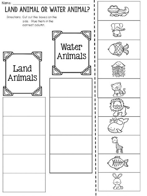 Animals online worksheet for 1. You can do the exercises online or download the worksheet as pdf. Sorting Animals Worksheet, Land And Sea Animals Preschool, Sorting Worksheet For Grade 1, Classifying Animals Activities, Needs Of Animals Worksheet, Land Water Air Animals Worksheet, Land And Water Animals Worksheet, Animal English Worksheet, Land Animals Worksheet