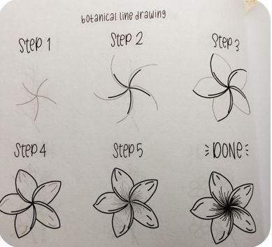 #notmine #drawing #stepbystepdrawing #flowers Plumeria Drawing Step By Step, Easy Drawings Sketches Flowers, Simple Drawing Tutorial Step By Step, Easy Drawings Sketches Step By Step, Draw A Flower Step By Step, Drawing Ideas Flowers Easy, Flower Sketches Easy, Rose Drawing Simple Step By Step, How To Draw A Flower Step By Step