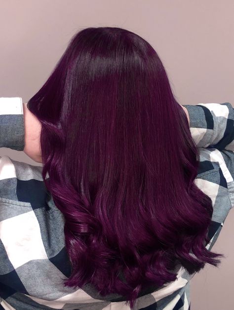 Plum Hair Makeup Ideas, Dyed Hair No Bleach, Hair Color Dye Ideas, Plum Hair Colour, Berry Hair Color, Plum Hair Dye, Plum Purple Hair, Purple Red Hair Color, Plum Hair Color