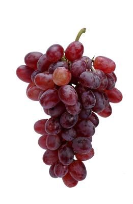 Red Grapes  The benefits are found in all Merlot Grape Seed Skin Care Homemade Grape Jelly, Growing Wine Grapes, Muscadine Grapes, Grape Trellis, Grape Plant, Parasite Cleanse, Cell Growth, Grape Jelly, Fruit Photography