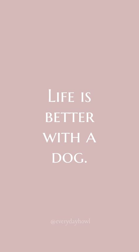 Quote On Dogs, Dog Mom Wallpaper Iphone, Cute Dog Quotes Short, Dog Quotes Wallpaper, Dog Happiness Quotes, Aesthetic Quotes About Dogs, Short Dog Quotes, Dogs Make Everything Better Quotes, Dog Captions