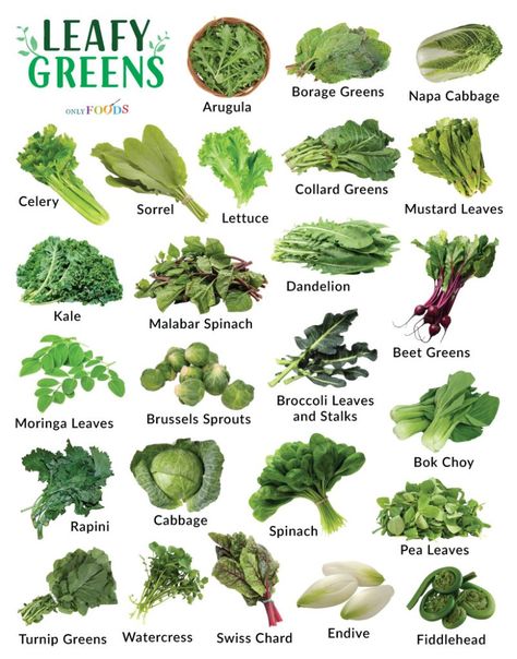 Green Vegetables List, Vegetables List, Leafy Green Vegetables, Broccoli Leaves, Green Leafy Vegetables, Malabar Spinach, Vegetable Coloring Pages, List Of Names, Water Spinach