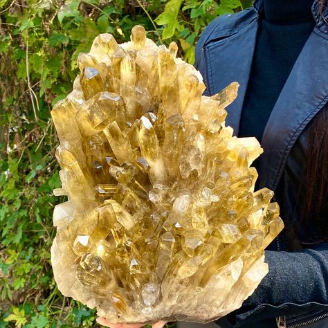 Description  Material:        8160g Natural Large Citrine Quartz Cluster Crystal Mineral, Large Citrine Cluster, Large Citrine Crystal, Mining Citrine Cluster Weight :         8160g Size :              330*233*127mm Note:                Only one piece available. You will get the exact piece shown in the picture.                           Citrine is the yellow to brownish-red variety of the mineral Quartz. It is widely used as a gemstone, and after Amethyst, it is the most popular Quartz Gem. Mos Crystal Mining, Citrine Cluster, White Quartz Crystal, Rutilated Quartz Crystal, Crystal Aesthetic, Golden Rutilated Quartz, Yellow Quartz, Crystal Pyramid, Phantom Quartz