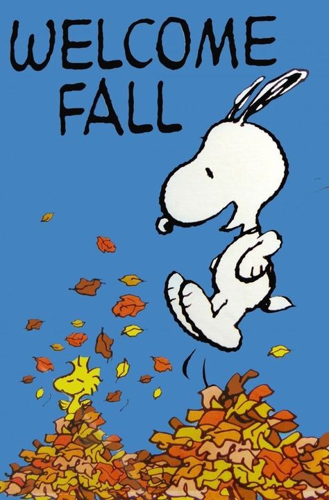 20 Happy Fall Quotes Happy Fall Quotes, Snoopy Fall, Fall Flags, Snoopy Dog, Peanuts Cartoon, Snoopy Wallpaper, Snoopy Quotes, Snoopy Pictures, Snoop Dog