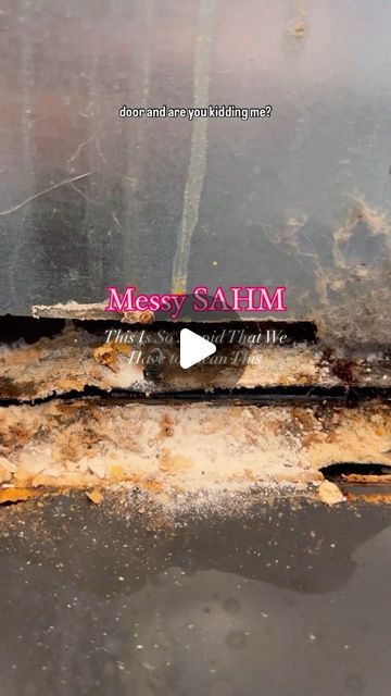 Alana | Messy SAHM on Instagram: "Time to clean the oven door babyyy!! ✨🧼

Comment “🤩” for the link to all the products I used in this video!

Thanks @nottheworstcleaner_ for the inspo!! 💗

#cleaningmotivation #clean #deepcleaning #oven #cleaninghack #cleaningtips #satisfying #satisfyingcleaning 
Deep cleaning the oven" Cleaning Videos Satisfying, Cleaning The Oven, Clean The Oven, Cleaning Videos, Cleaning Motivation, Instagram Time, Cleaning Organizing, The Oven, Deep Cleaning