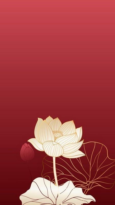 Lotus Flower Painting Watercolors, Lotus Artwork, Lotus Flower Painting, Lotus Wallpaper, Lotus Flower Pictures, Golden Lotus, Dancing Drawings, Lotus Art, Iconic Wallpaper