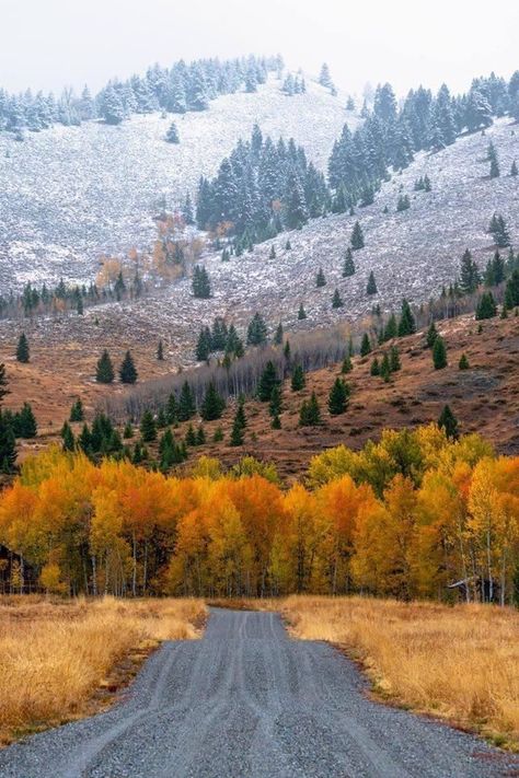 Idaho Aesthetic, Outdoorsy Aesthetic, Idaho Vacation, Visit Idaho, Idaho Travel, Sun Valley Idaho, Travel Globe, Autumn Scenery, Sun Valley