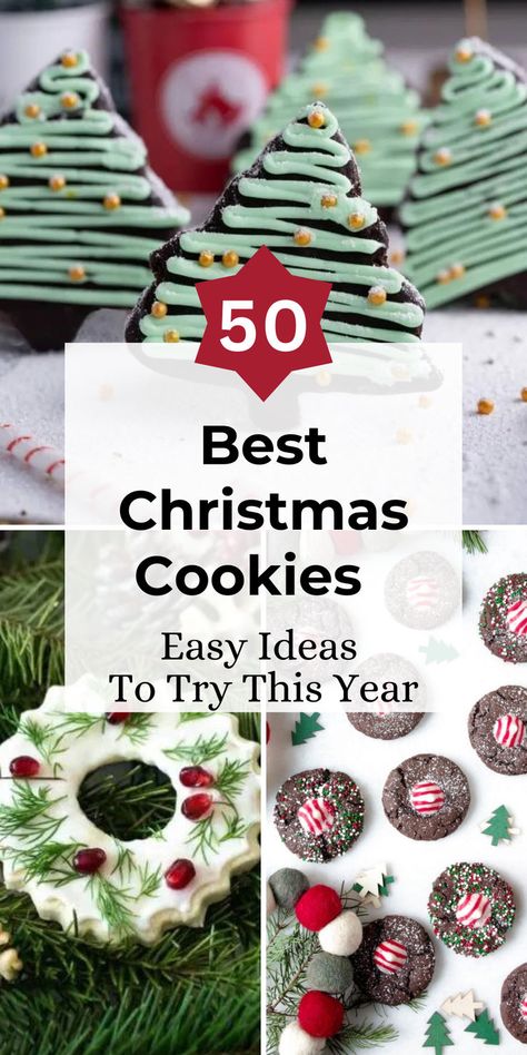 Some of the most delicious things in this world are quite small and simple - like cookies ! They're always a great treat, especially around the holidays when the sweet aroma fills the house and creates new memories. These 50 cookies recipes are here to help you decide your next Christmas hit ! #ChristmasCookies Birds Nest Cookies Christmas, Holiday Cookies Aesthetic, Fluffy Christmas Cookies, Christie’s Cookies Recipe, Easy Fancy Christmas Cookies, Peppermint Christmas Cookies Recipes, Christmas Cookies Recipes 2024, Best Christmas Cookies Recipes Popular, Best Ever Christmas Cookies