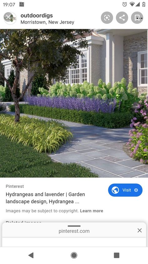 Colonial Front Yard Landscaping, Formal Gardens Front Yard, Hydrangea Hedge Front Yards, Boxwood And Hydrangea Landscaping, Layered Landscaping Front Yards, Flowerbeds Front Of House, Lakehouse Garden, Delhi Farmhouse, Clean Landscaping