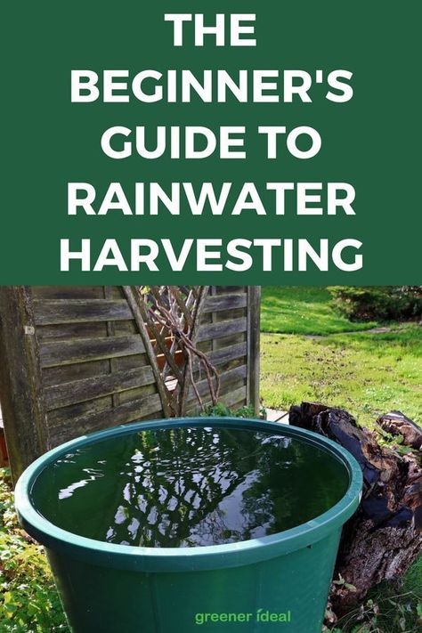 Barrels Diy, Water Collection System, Rain Harvesting, Water From Air, Rainwater Collection, Rainwater Harvesting System, Rain Barrels, Rain Collection, Rainwater Harvesting