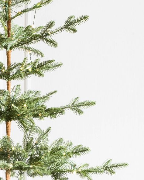 Alpine Balsam Fir | Balsam Hill Balsam Fir Christmas Tree, Balsam Fir Tree, Balsam Hill Christmas Tree, Christmas Tree Green, Slim Christmas Tree, Prelit Tree, Fir Christmas Tree, Twinkly Lights, Artificial Christmas Trees