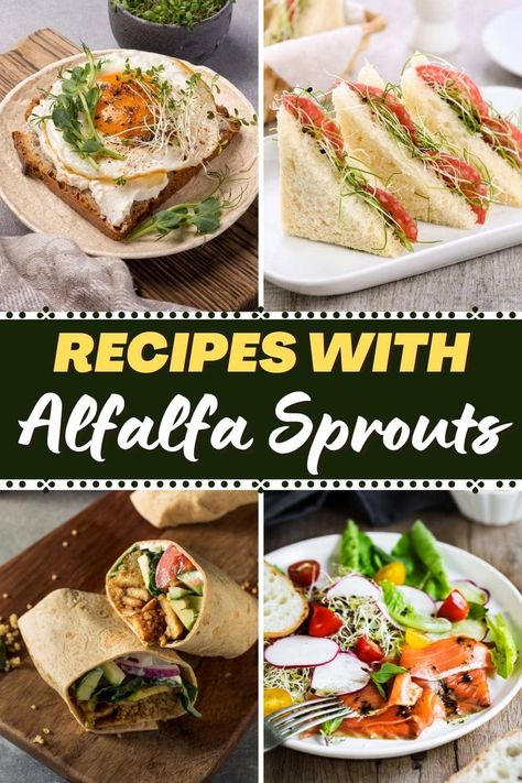 Alfalfa Sprouts Recipes, Sprout Sandwich, Alfalfa Sprouts, Sprouts Salad, Chicken Salad Sandwich, Avocado Vegan, Sprout Recipes, Stuffed Avocado Healthy, Veggie Salad