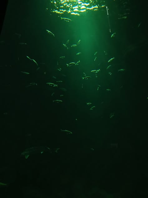 Dark Green Water Aesthetic, Green Fish Aesthetic, Green Sea Aesthetic, Green Ocean Aesthetic, Viridian Green Aesthetic, Hunter Green Aesthetic, Sea Green Aesthetic, Dark Green Ocean, Green And Black Aesthetic