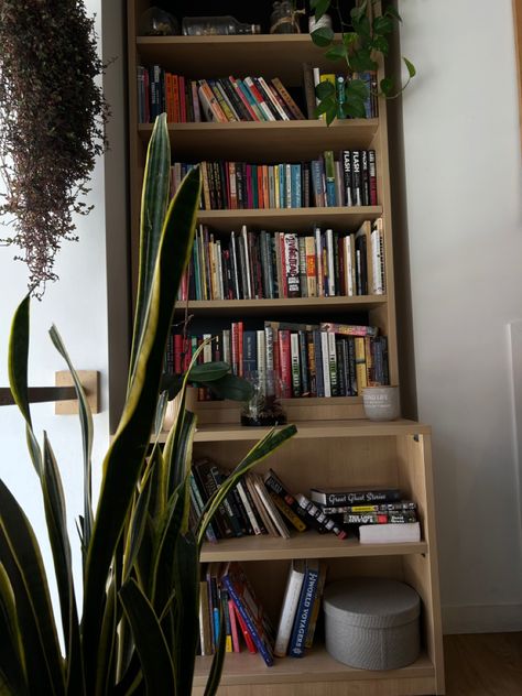 Plant Girl Aesthetic, Bookstore Coffee Shop, Aesthetic Bookshelf, Coffee Shop Aesthetic, Plant Book, Shop Aesthetic, Old Port, Portland Maine, Downtown Girl