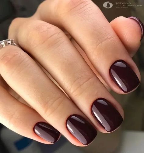 Black Gel Nails Short Square, Short Square Dark Nails, Short Square Nails Autumn, Short Nail Colors 2024, Deep Red Nails Short, Short Gel Nails Fall 2024, Autumn Nails Squoval, Short Dark Nails Ideas, Dark Gel Nails Short