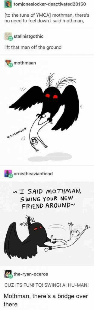 Mothman Inspired Outfit, The Awkward Yeti, Mish Mash, Oui Oui, What’s Going On, Tumblr Funny, Tumblr Posts, Funny Comics, Funny Posts