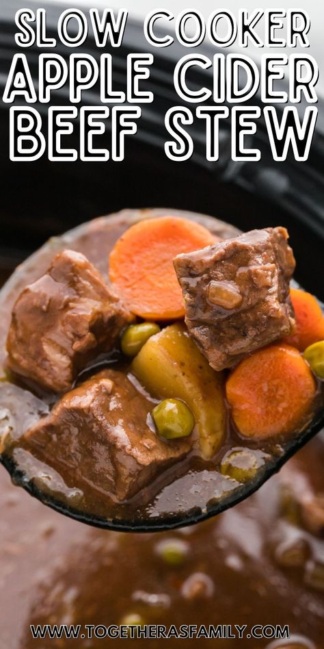 Best Slow Cooker Beef Stew, Apple Cider Beef Stew, Slow Cooker Apple Cider, Traditional Beef Stew, Slow Cooker Recipes Beef Stew, Recipe Using Apples, Slow Cooker Apple, Slow Cooker Recipes Beef, Slow Cooker Apples