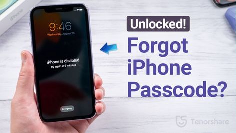 6 Easy Ways to Unlock Forgotten iPhone Passcode without Restore How To Open An Iphone Without Password, How To Unlock Iphone Without Passcode, How To Unlock Any Iphone, Iphone Unlock Code, How To Unlock Iphone, Unlock Iphone Free, Old Iphone, Unlock Screen, Iphone Secrets