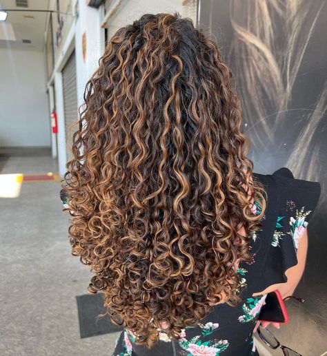 Dimensional Highlights Curly Hair, Black Curls With Highlights, Caramel Highlights Black Women, Brunette Curly Hair Highlights, Light Brown Highlights Curly Hair, Highlights On Dark Curly Hair, Curly Hair Brown Highlights, Brown Highlights Curly Hair, Golden Brown Curly Hair