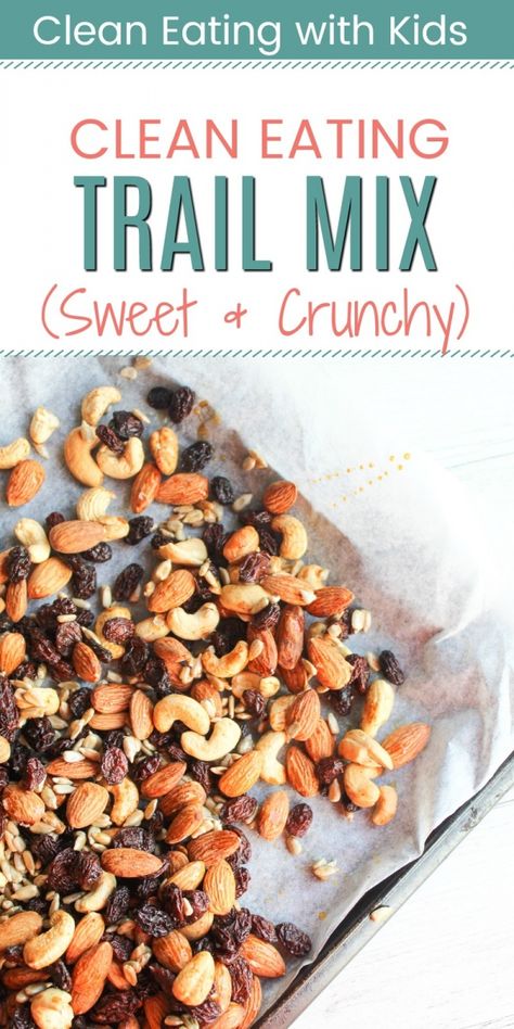 Homemade Trail Mix Recipes, Healthy Trail Mix Recipes, Clean Eating With Kids, Trail Mix Recipe, Healthy Trail Mix, Trail Mix Recipes, Homemade Trail Mix, Clean Eating Lunch, Homemade Snacks