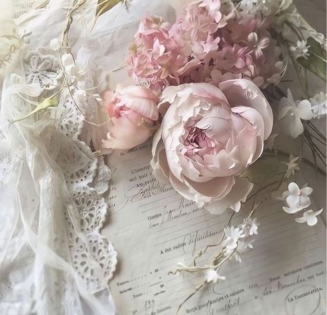 ˖ ݁𖥔.˚꒰ა ♡︎ ໒꒱˚.𖥔 ݁˖ Vintage Princess Aesthetic, Princess Core, Baby Pink Aesthetic, Rosé Aesthetic, Vintage Princess, Rose Pastel, Vintage Soft, Princess Aesthetic, Old Money Aesthetic