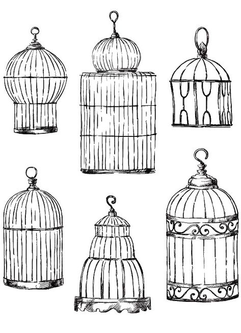 Vintage Bird Cage Decor, Vintage Bird Tattoo, Birdcage Tattoo, Bird Tattoos For Women, Antique Bird Cages, Bird Embroidery Pattern, Bird In A Cage, Cage Tattoos, Vintage Bird Illustration