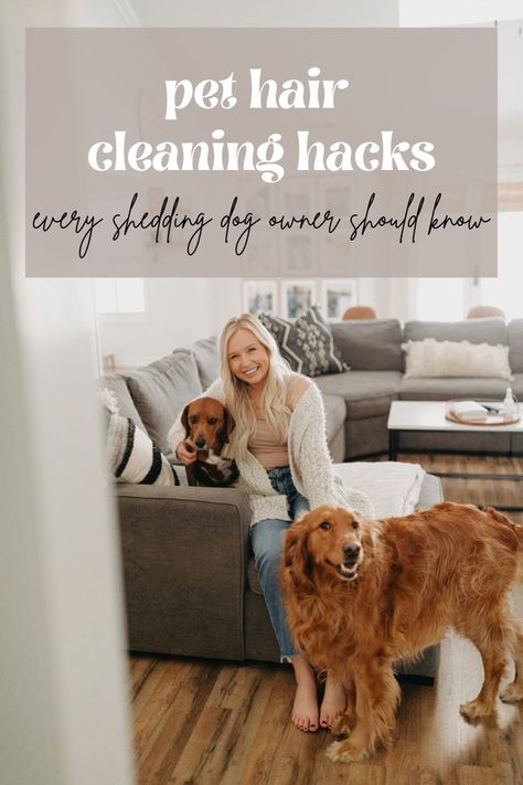 Pet Hair Cleaning Hacks, Dog Hair Cleaning, Keep Your House Clean, Hair Cleaning, Cleaning Pet Hair, Cleaning Supplies Organization, Muddy Paws, Dog Shedding, Cleaning Motivation