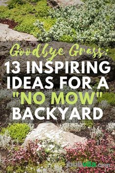 No Grass Yard, Grass Alternative, Small Yard Landscaping, Lawn Alternatives, No Grass Backyard, Pool Small, Diy Lawn, Cheap Backyard, Backyard Small