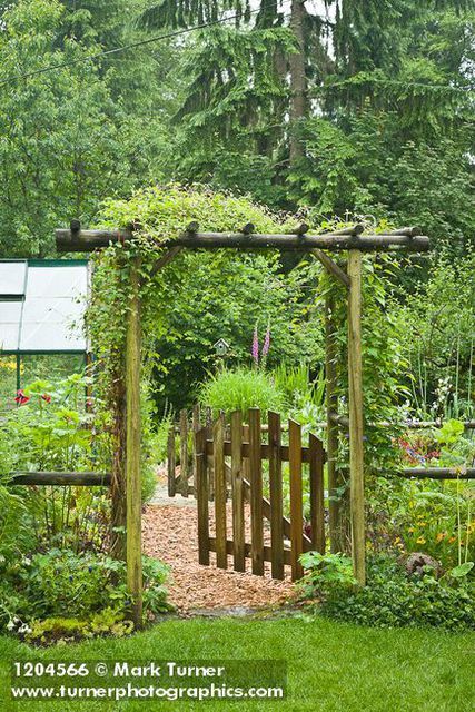 Wooden Arbor With Gate, Arbor Over Gate, Garden Gate Arbor, Garden Arbor With Gate, Gated Garden, Arbor Gate, Garden Archway, Garden Gates And Fencing, Wood Arbor