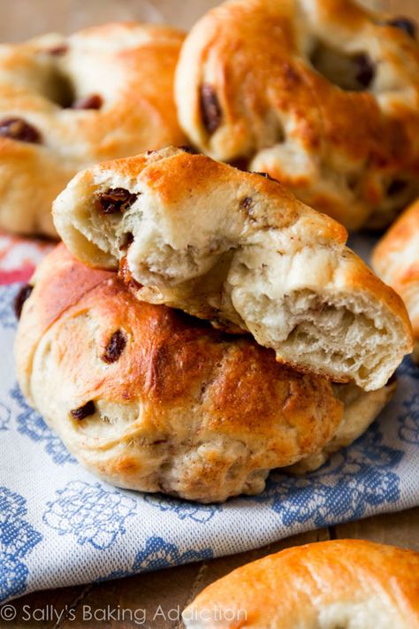 Here's exactly how to make homemade cinnamon raisin bagels with lots of step-by-step photos! Click through for the recipe on sallysbakingaddiction.com Cinnamon Raisin Bagels, Cinnamon Bagels, Raisin Bagels, Bagel Recipes, Bagel Recipe Easy, Stomach Rumbling, Cinnamon Raisin Bagel, Bagel Bread, Homemade Flour