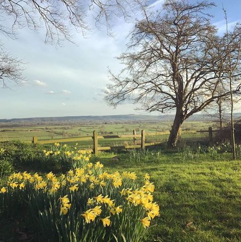 Idyllic Cottage, Blue And White Home, Spring Afternoon, White Home, English Countryside, White Houses, Pretty Places, Favorite Pins, Country Life