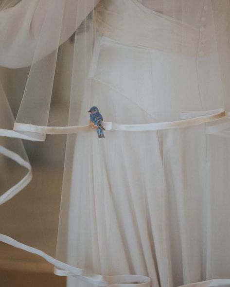 This little bird has a fan club. And Eastern Bluebird, at the request of the bride, a treasured reminder of living in Atlanta. I love embroidering birds, a difficult creature to capture with lots of textures, directions and details that I have an affinity with. Photo by @bobtale_photography #bluebird #birdembroidery #easternbluebird #embroideredveil #bespokeembroidery #embroideryartist #silkembroidery #customembroidery River Wedding, Favorite Albums, Eastern Bluebird, Bird Wedding, Sara Bareilles, Wedding 2025, Bird Embroidery, Baby Ducks, Wedding Dress Couture