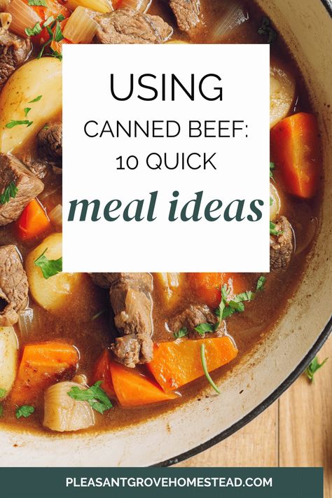 Beef Stew With Canned Beef, Recipes Using Canned Deer Meat, Canned Stew Meat Recipes, Canned Deer Meat Recipes Dinners, Recipes Using Canned Beef Chunks, Canned Shredded Beef Recipes, Keystone Canned Beef Recipes, Roast Beef In A Can Recipes, Keystone Beef Recipes